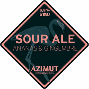 azimut-sour-ale vin sens la cave begles azimut-sour-ale vin sens la cave begles